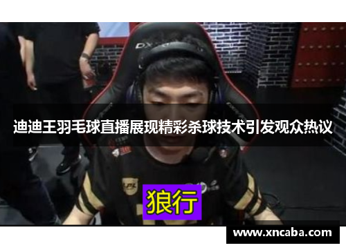迪迪王羽毛球直播展现精彩杀球技术引发观众热议