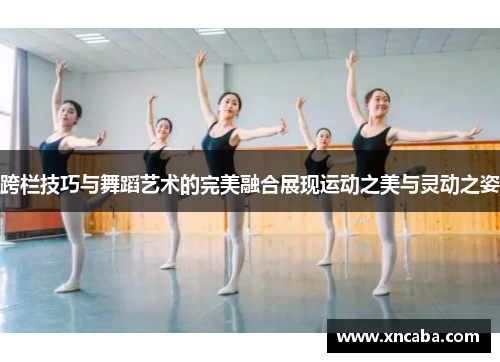 跨栏技巧与舞蹈艺术的完美融合展现运动之美与灵动之姿